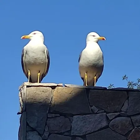 Maison Avec Piscine Et Jacuzzi *