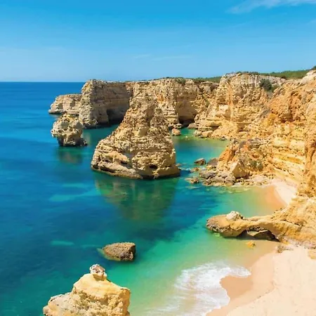 Maison Avec Piscine Et Jacuzzi 別荘 *